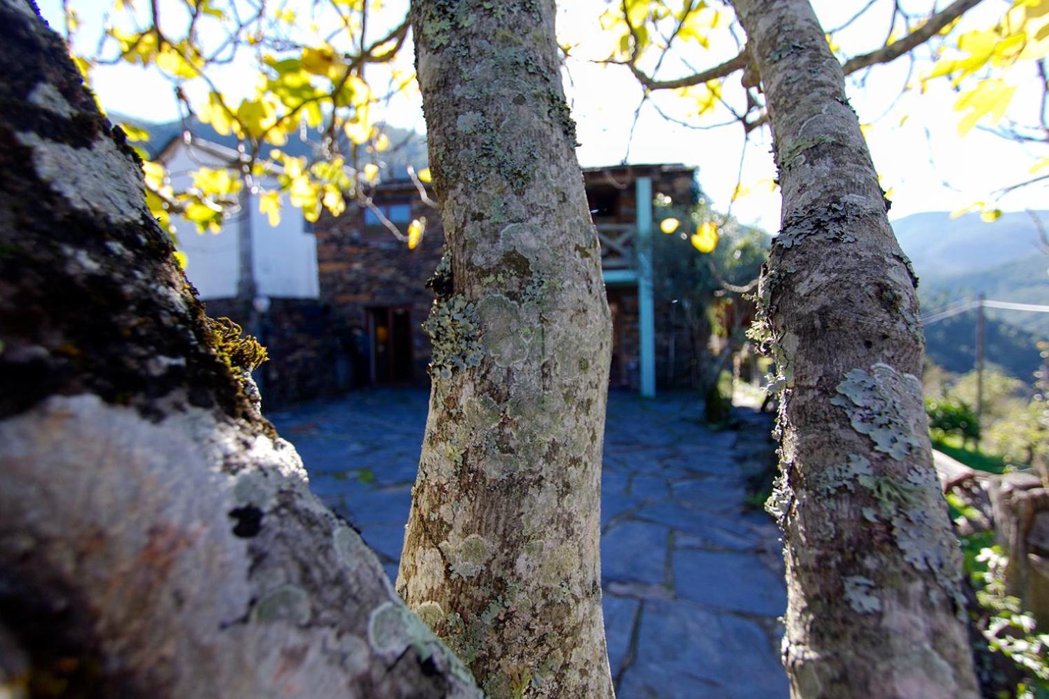 아로카 Casa Da Figueira - Rio Paiva 빌라 외부 사진