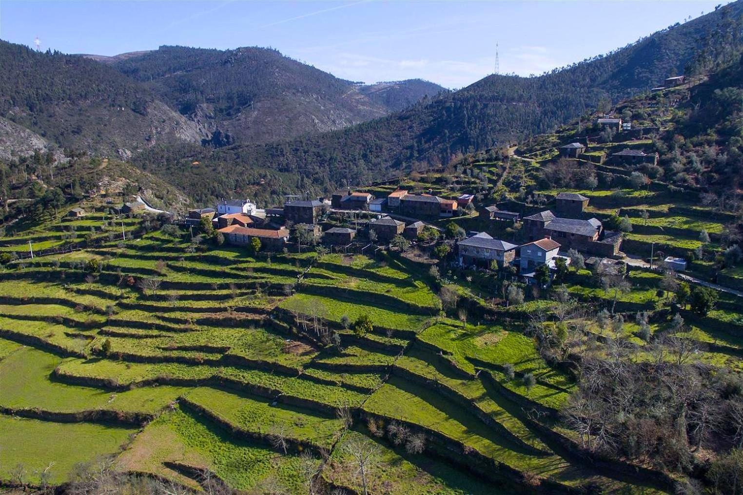 아로카 Casa Da Figueira - Rio Paiva 빌라 외부 사진